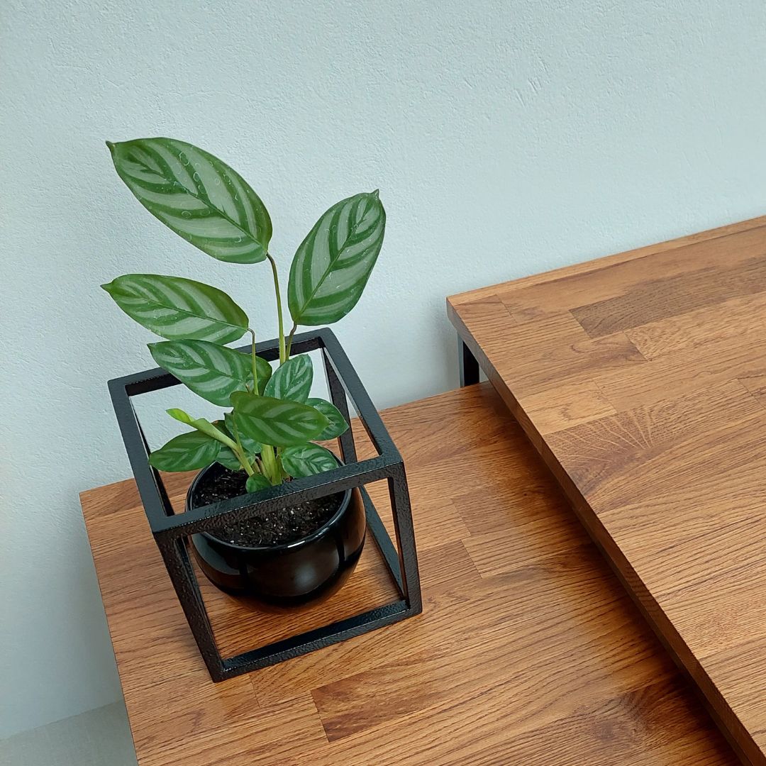 KUBAS interjero detalė - modernus ir subtilus interjero akcentas, pagamintas iš metalo.