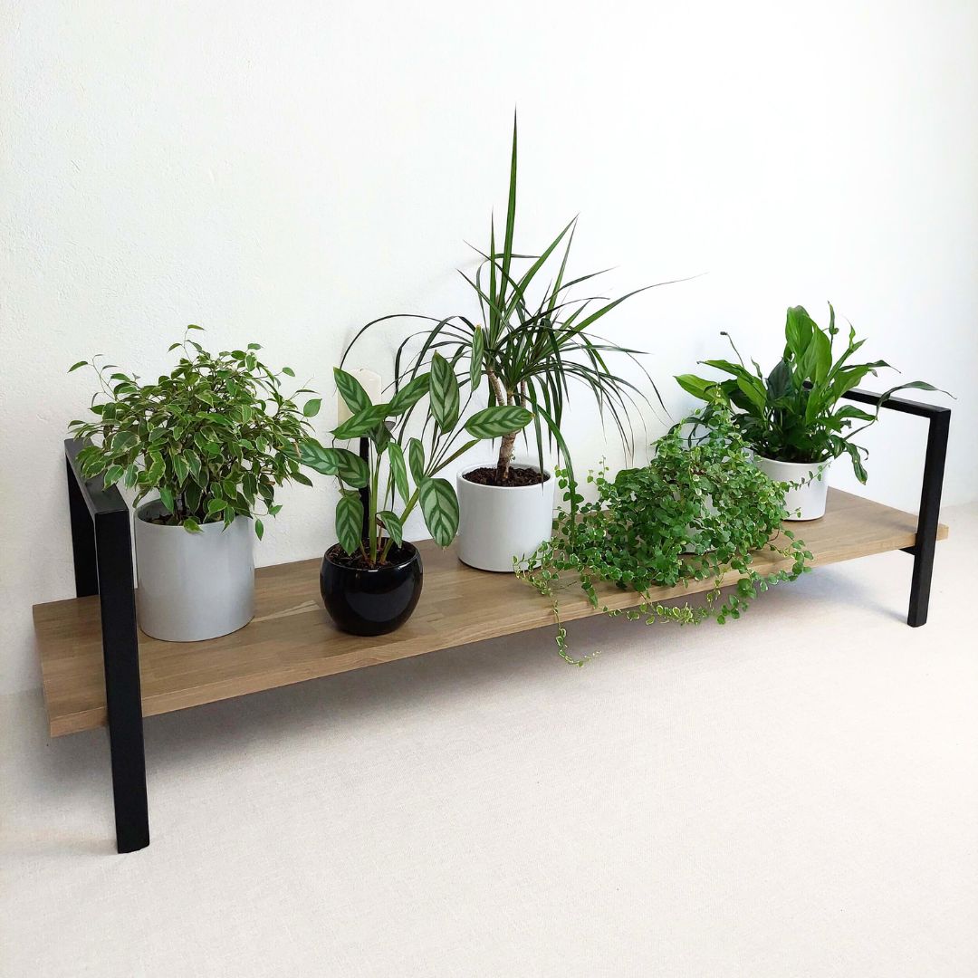 Suoliukas - lentyna gėlėms SODAS-1 - Rankų darbo moderni lentyna iš metalo ir medžio gėlėms, batams, šlepetėms.